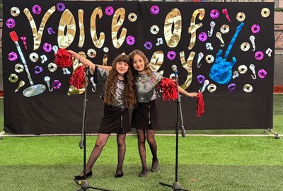 Voice Of Birey